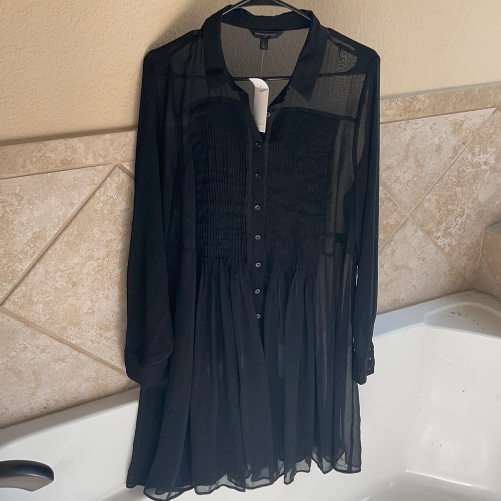 COPY - Banana Republic Sheer Pleated Dress